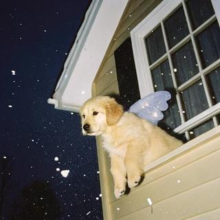 雨天独处｜听时光偷走的遗憾