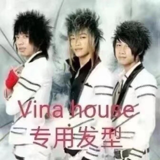 风格：越南鼓·Vina House（更新中……）