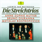 Serenade For String Trio In D Op.8 - 5. Thema con Variazioni: Andante quasi Allegretto - Variations 