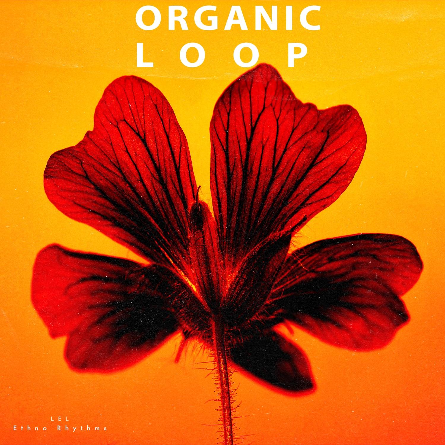 Ethno Rhythms (Original Mix)