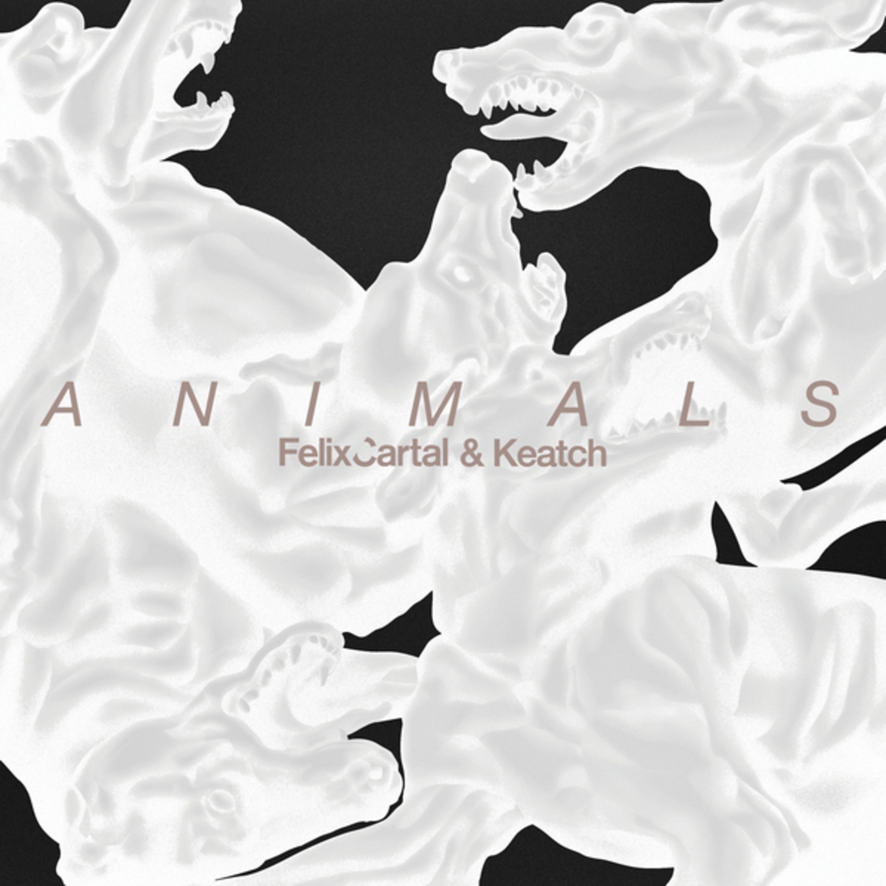 Animals专辑