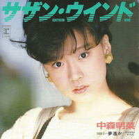 中森明菜 - サザン・ウインド (unofficial Instrumental) 无和声伴奏