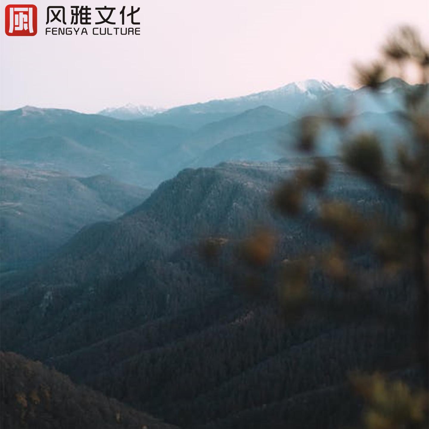 宝藏治愈轻音乐，舒缓解压背景音乐