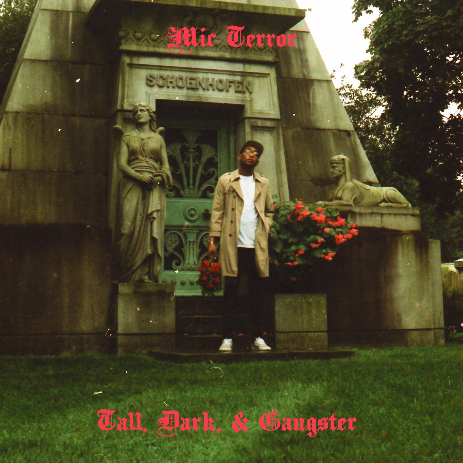 Tall, Dark, & Gangster