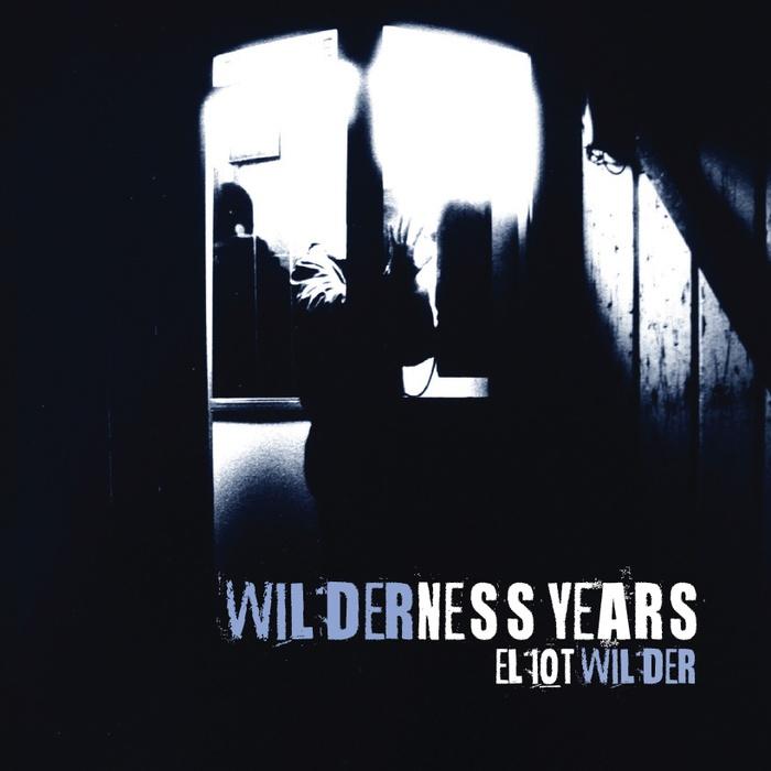 Wilderness Years