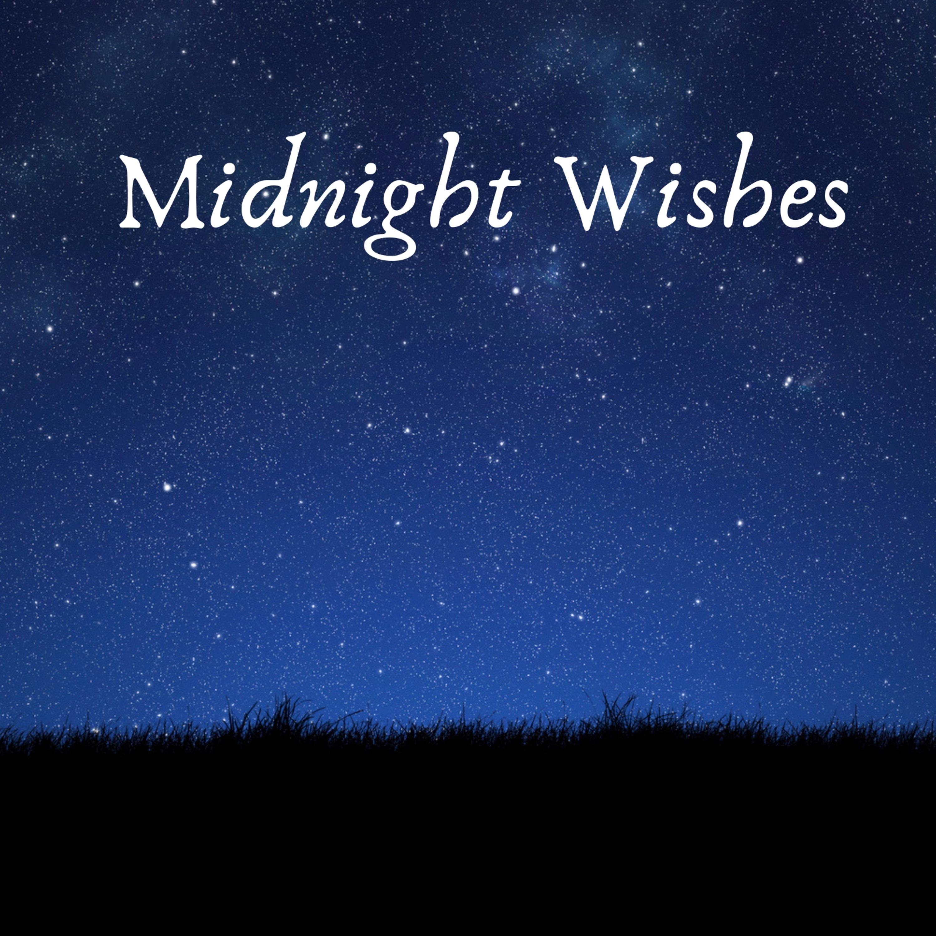 Midnight Wishes专辑