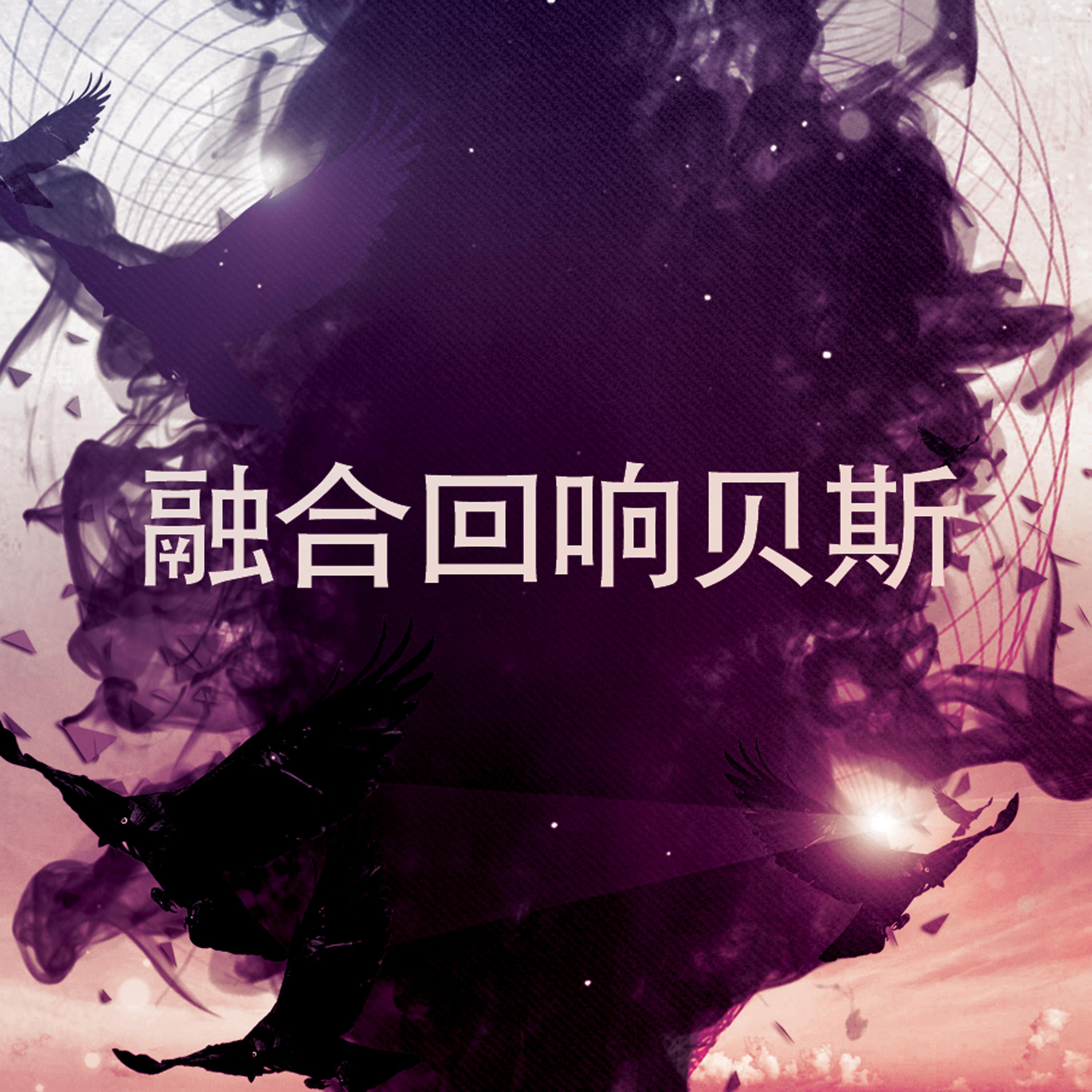 融合回响贝斯