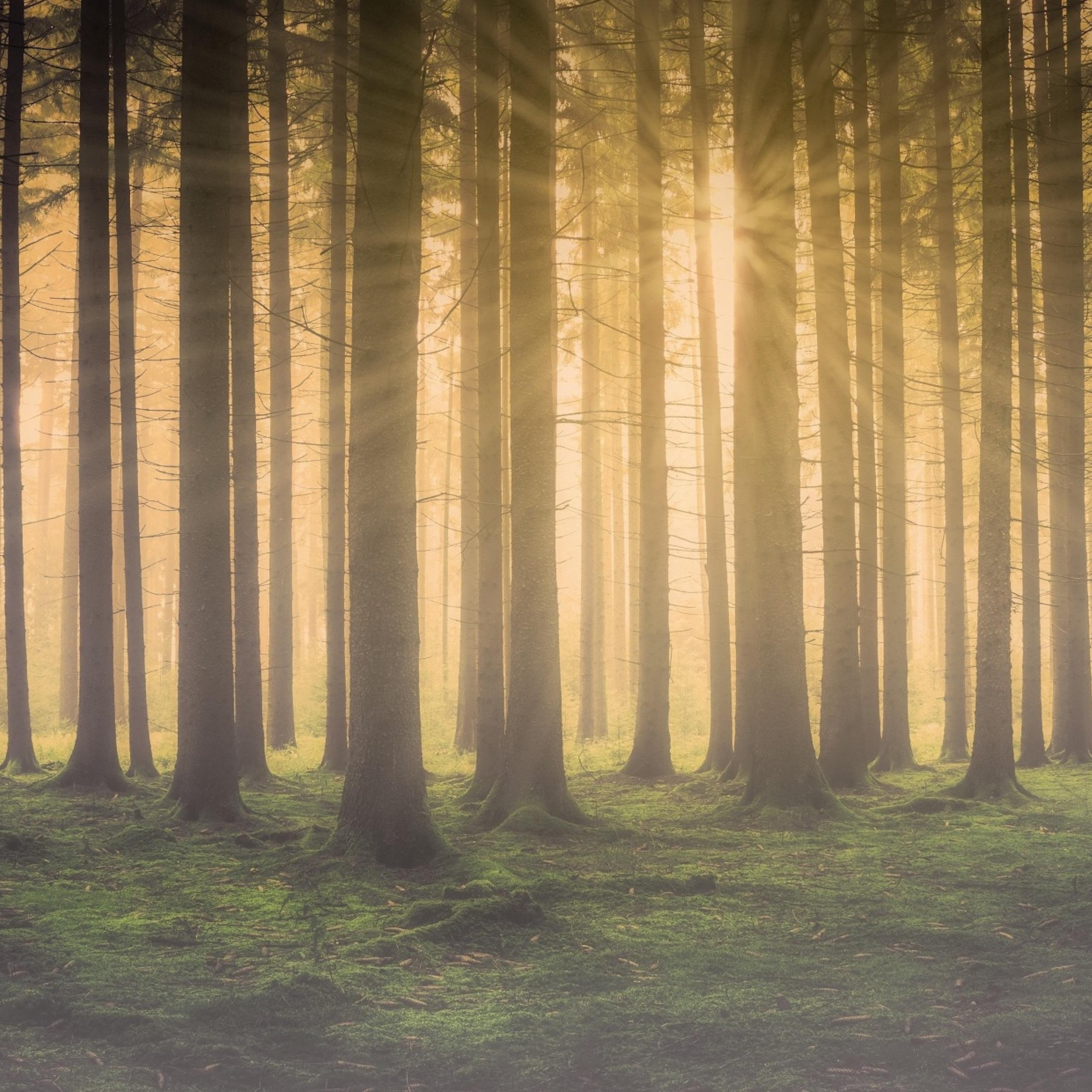 20 Calming Soundscapes for Pure Anxiety Relief
