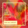 Chris Bushnell - She All About (Original Mix)