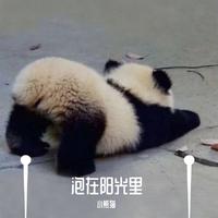 画离弦