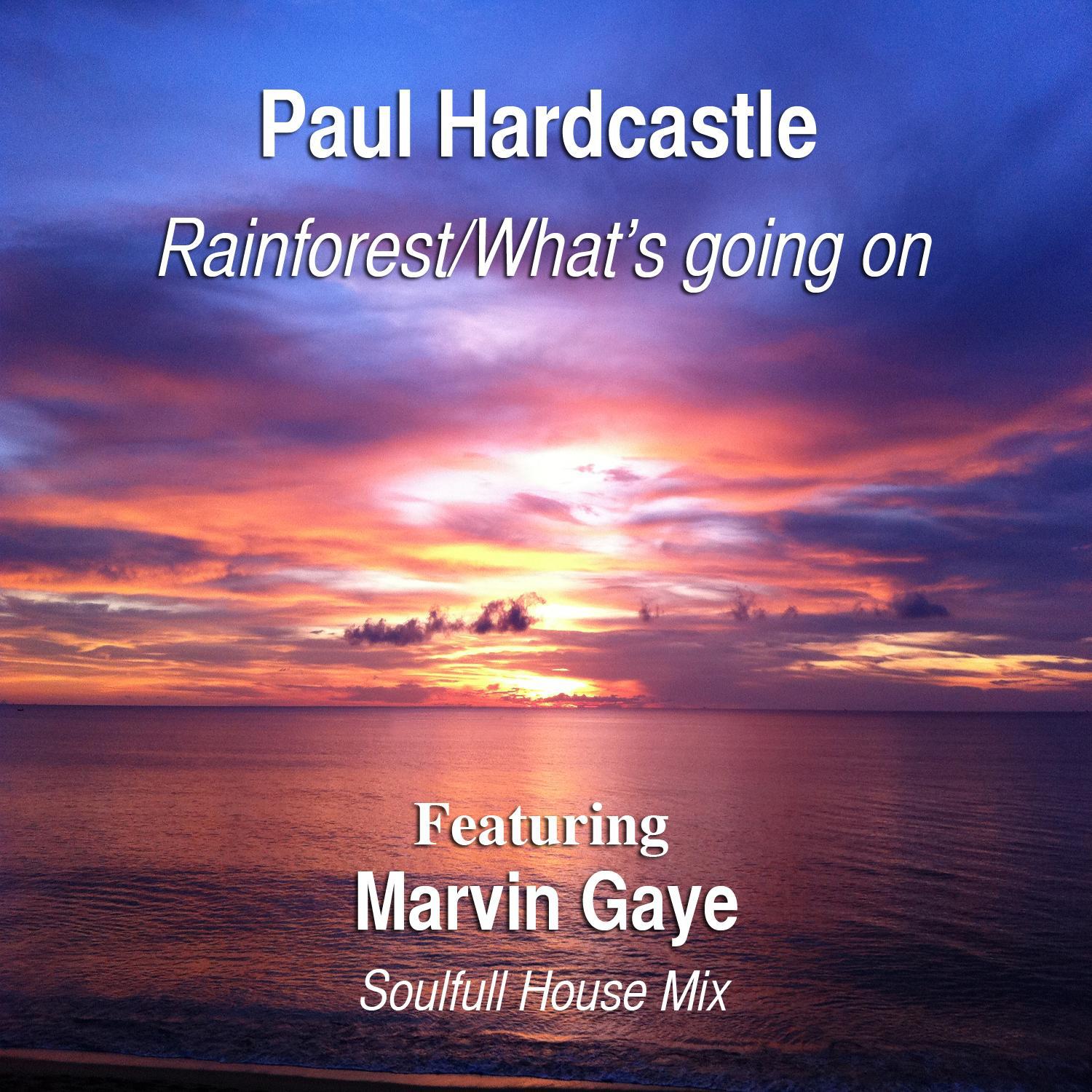 Rainforest/What's Going On (feat. Marvin Gaye) [Soulful House Mix]专辑