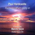 Rainforest/What's Going On (feat. Marvin Gaye) [Soulful House Mix]