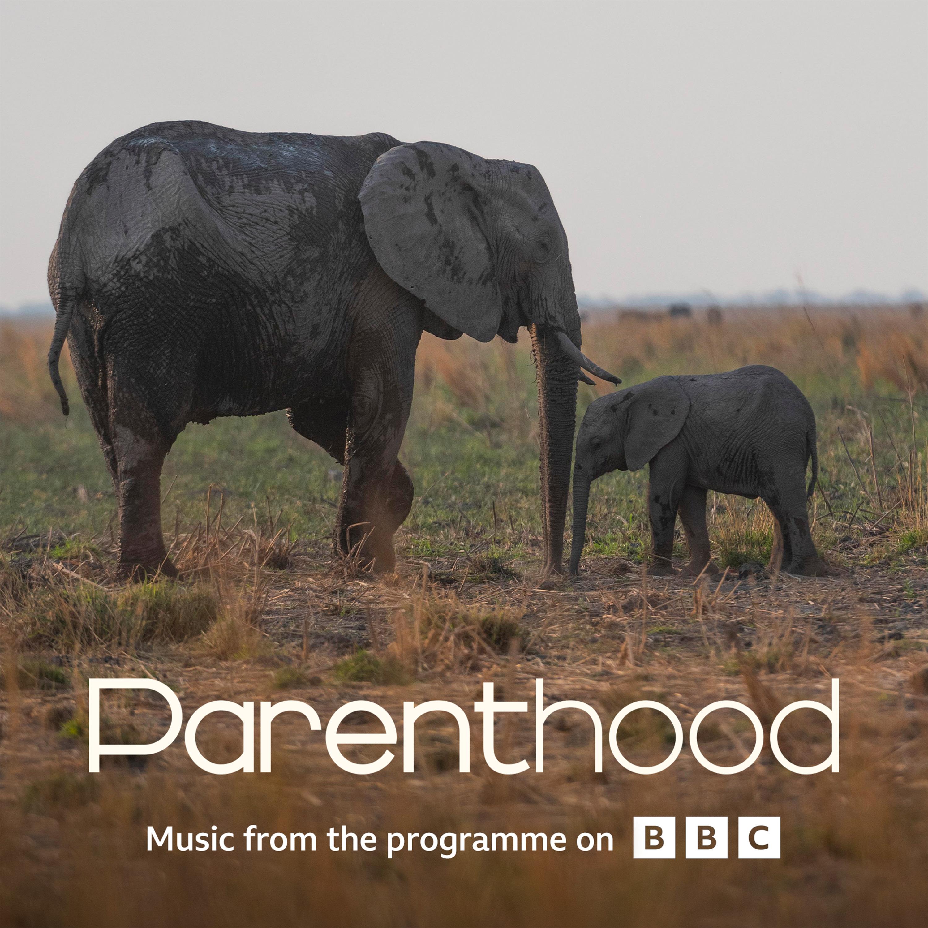 Go Steady (From BBC's Parenthood)