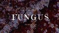 Fungus （霉菌）专辑