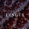 Fungus （霉菌）专辑