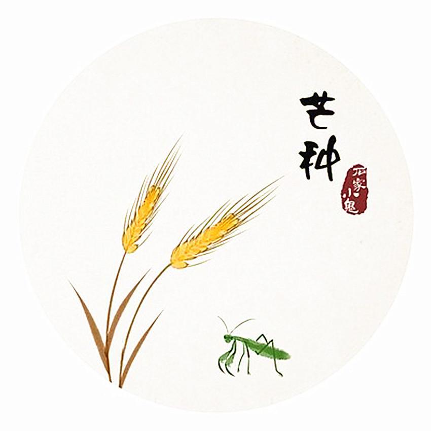 芒种