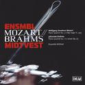 Mozart - Brahms专辑