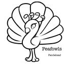 Peafowls专辑