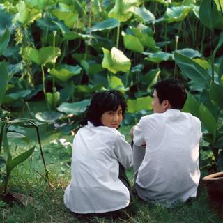 这首歌你熟悉吗