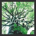 Forest Voice专辑