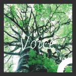 Forest Voice专辑