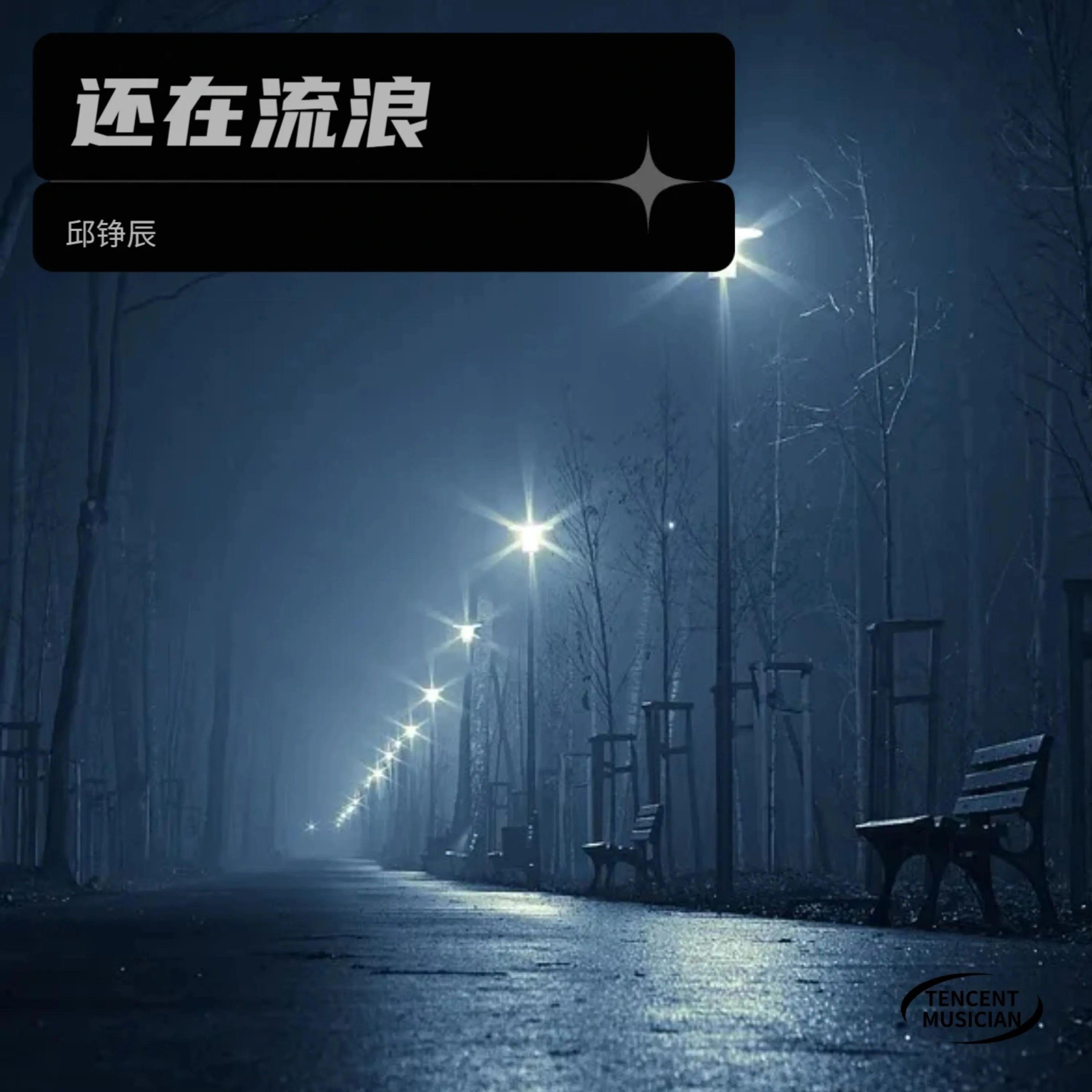 还在流浪
