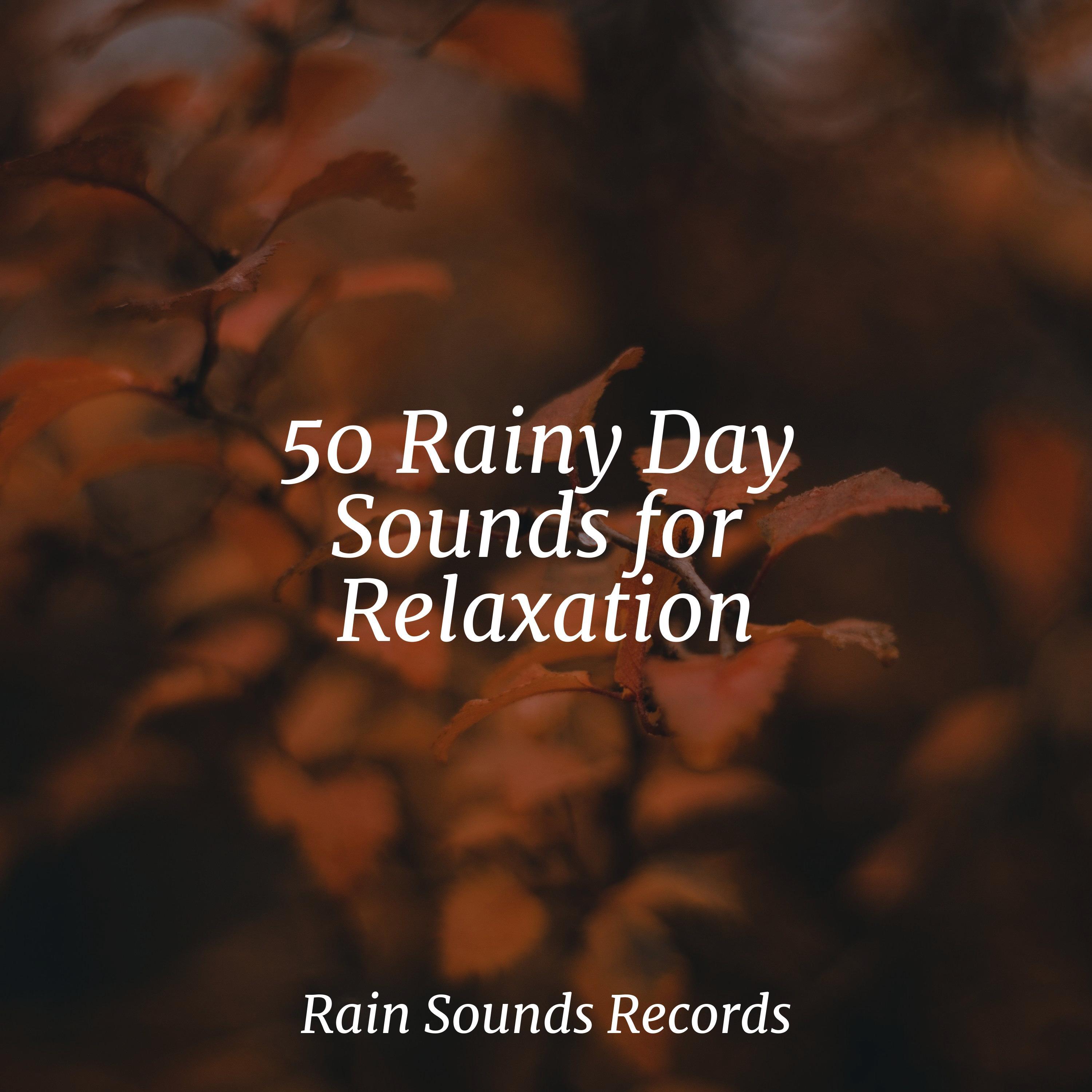 50 Rainy Day Sounds for Relaxation - Calming Sounds - 专辑 - 网易云音乐