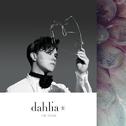 Dahlia II专辑