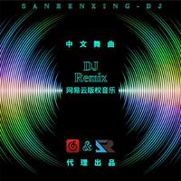 过火+爱上你是一个错（2024时尚女嘉宾舞曲嗨版资料）天津制作 （嘉宾）