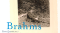 The Rubinstein Collection, Volume 3 - Brahms专辑