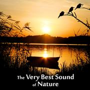 The Very Best Sound of Nature - Birds, Waves, Rain, Sound for Relaxation, Meditation, Healing, Massa