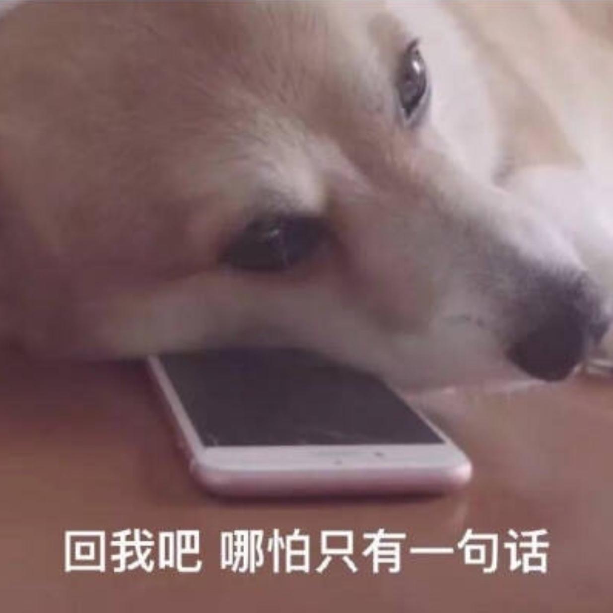 舔