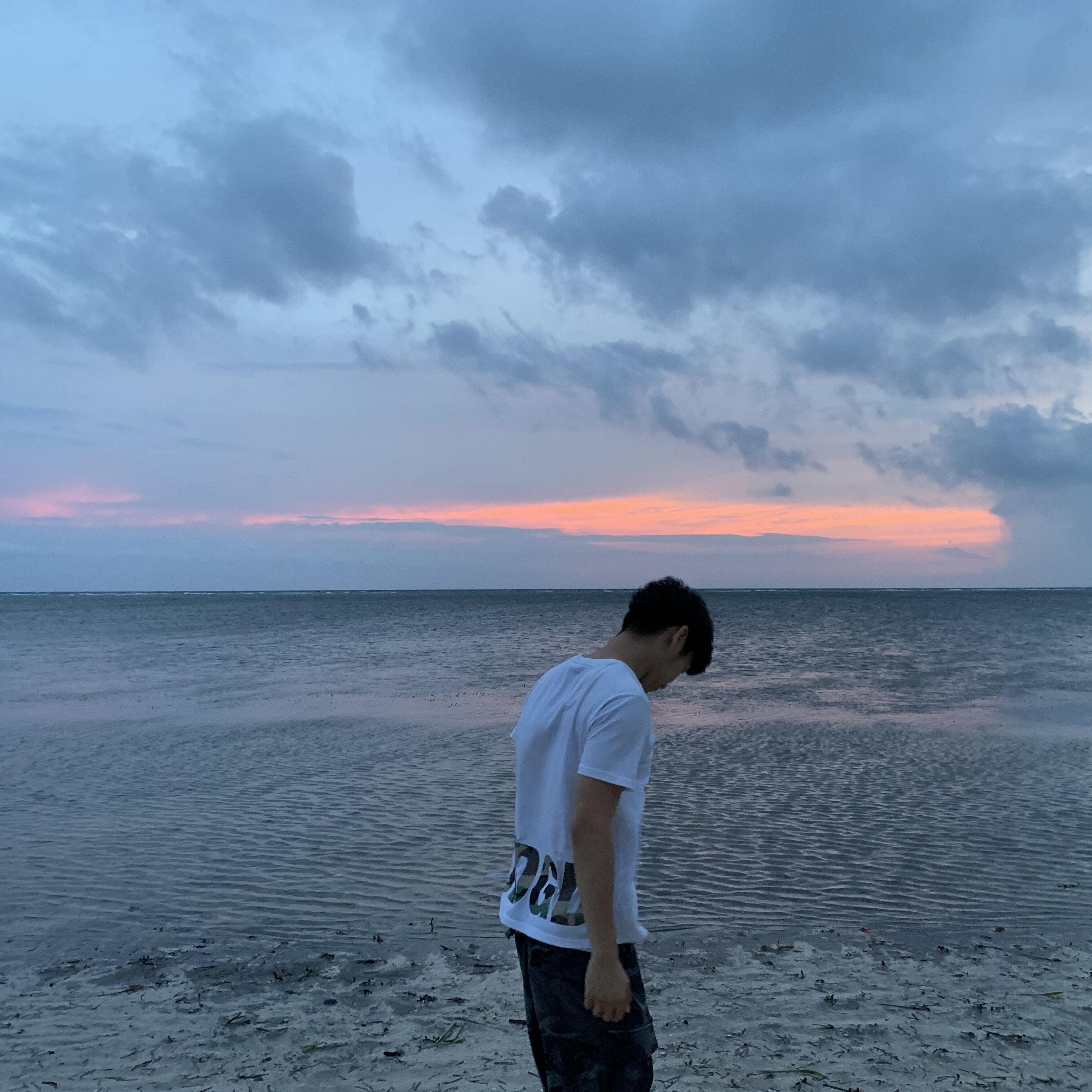 鲨鱼