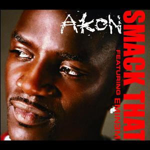 Akon、EMINERN - SMACK THAT