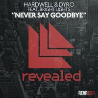 （PH百大女歌）Dyro hardwell - Never Say Goodbye(130)②大气电音铺底和声完整重叠版伴奏