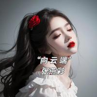 向云端 (DJ R7版) 丁乙 (带伴唱) 伴奏