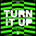Turn It Up (Remixes)专辑