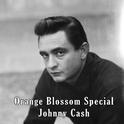 Orange Blossom Special Vol.2 - Johnny Cash专辑