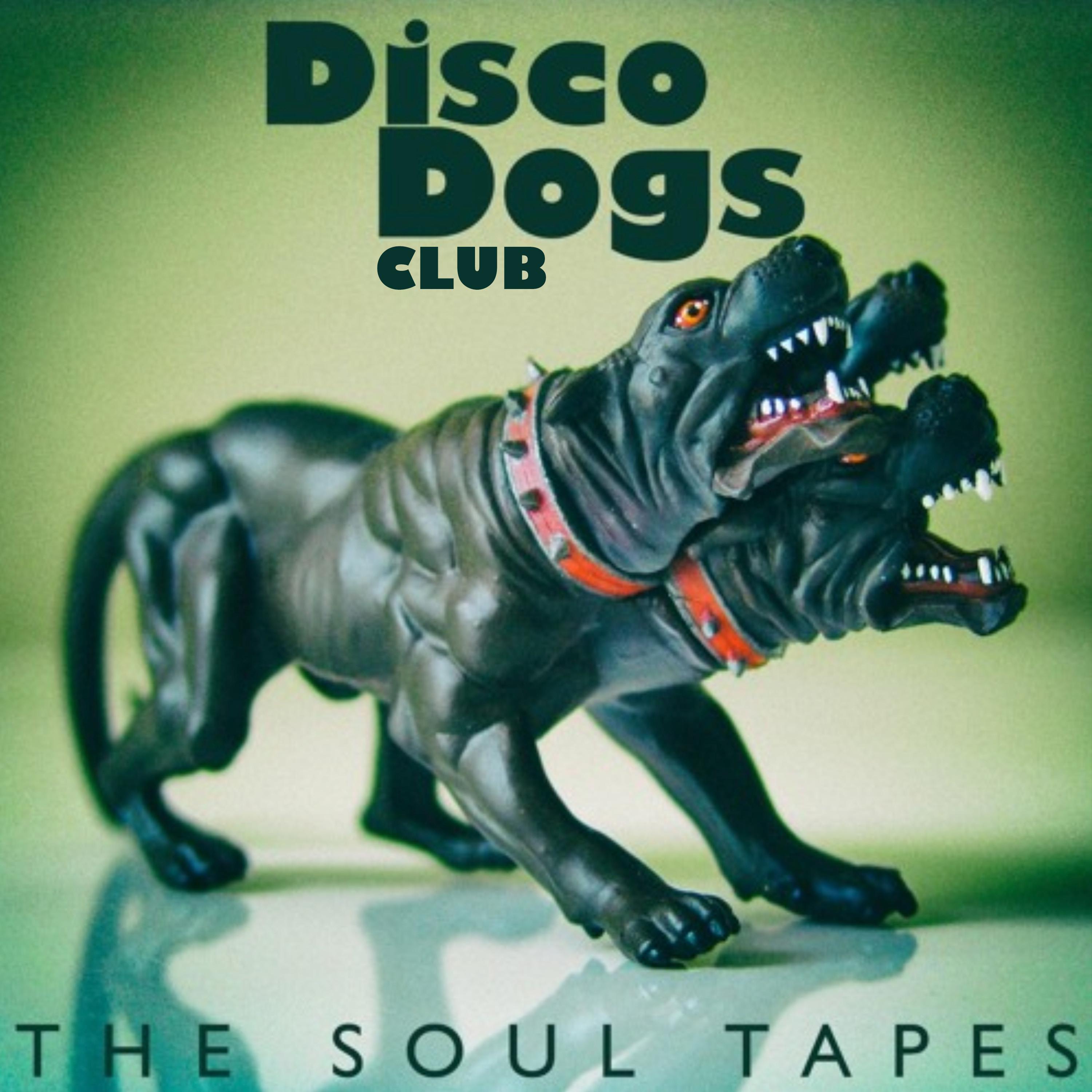 Disco Dogs Club - Risiko Mind