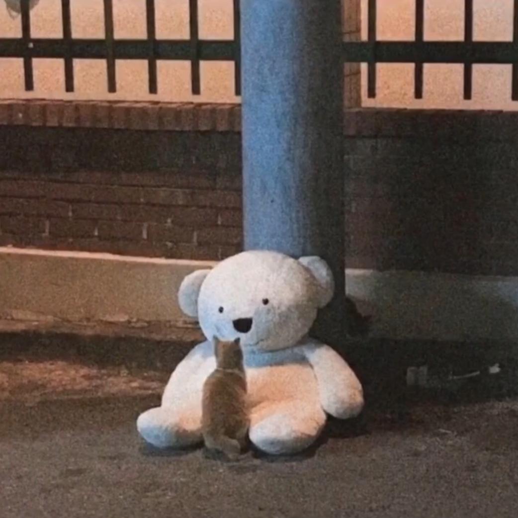 我的内疚感促使我妄想更快的度过余生