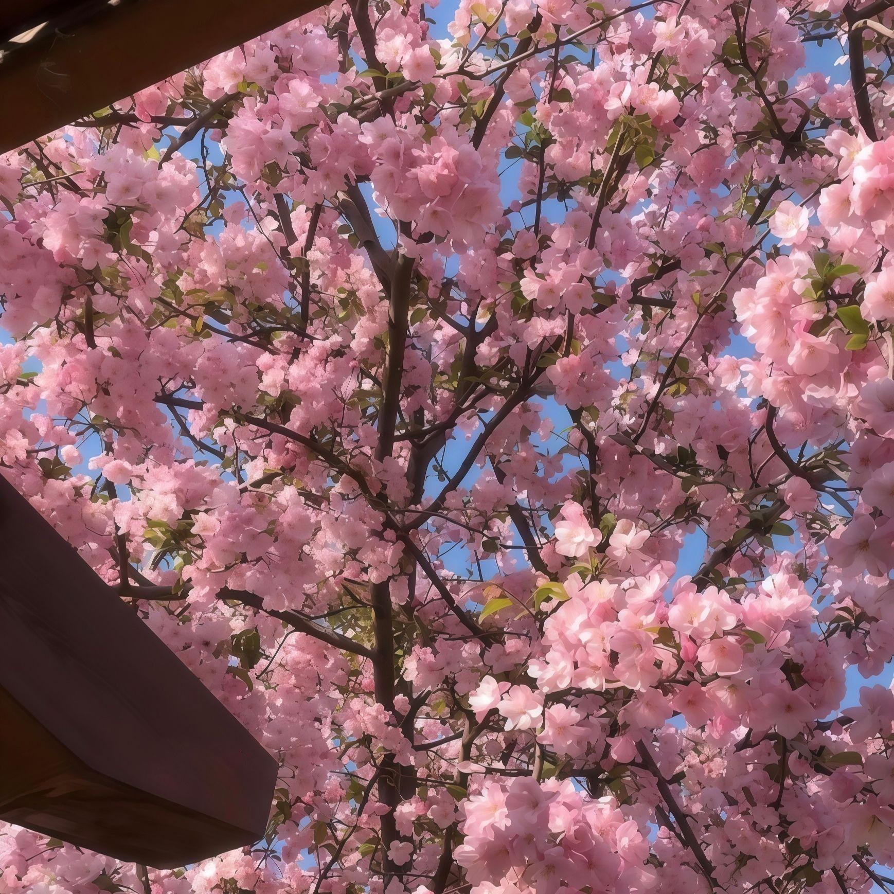 原来落花有意随流水 而流水无心恋落花