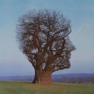 梦核美学 | 荒诞 怪异 迷离 极致梦核氛围