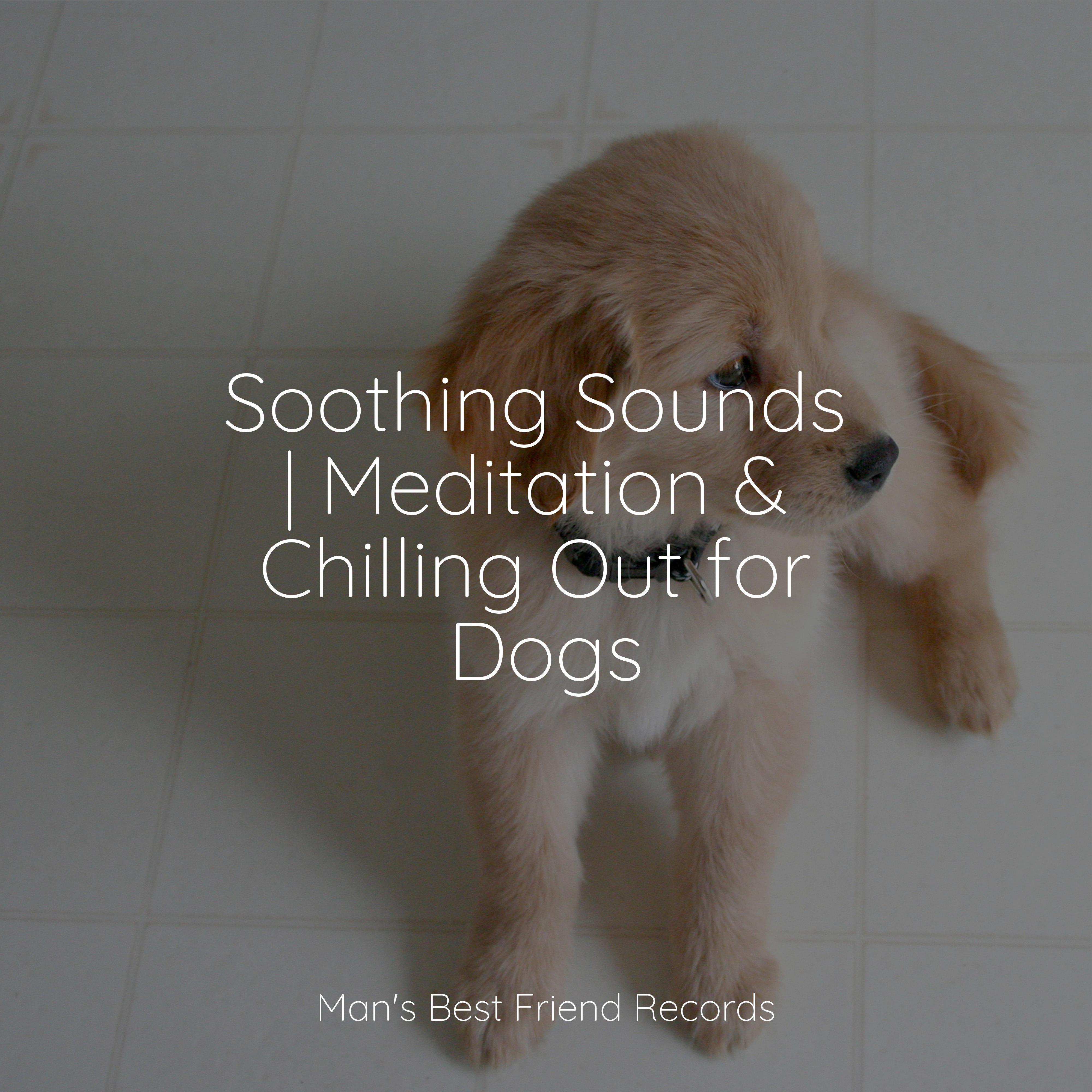 Calming Music for Dogs - Healing Music