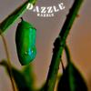 Dazzle - Razzle (Birds)