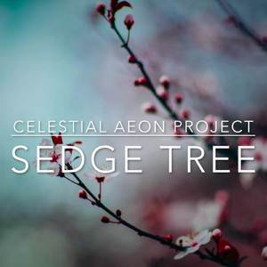 Sedge Tree （降4半音）