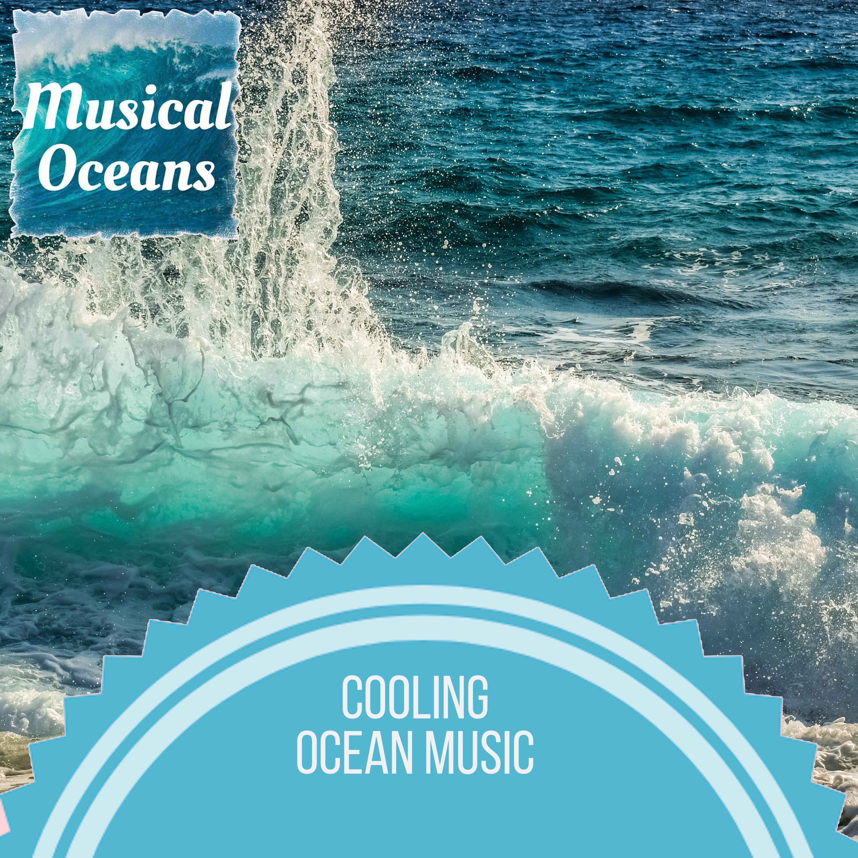 Round Waves Ocean Music - Noisy Birds Sound
