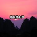 暗夜的心声