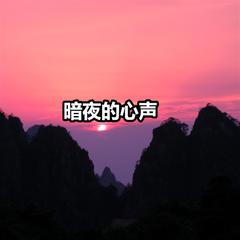 暗夜的心声