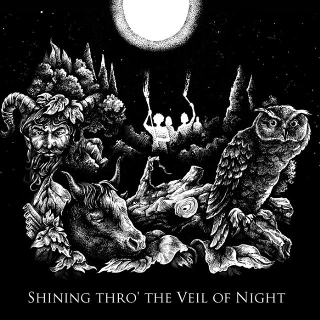Shining thro' the Veil of Night