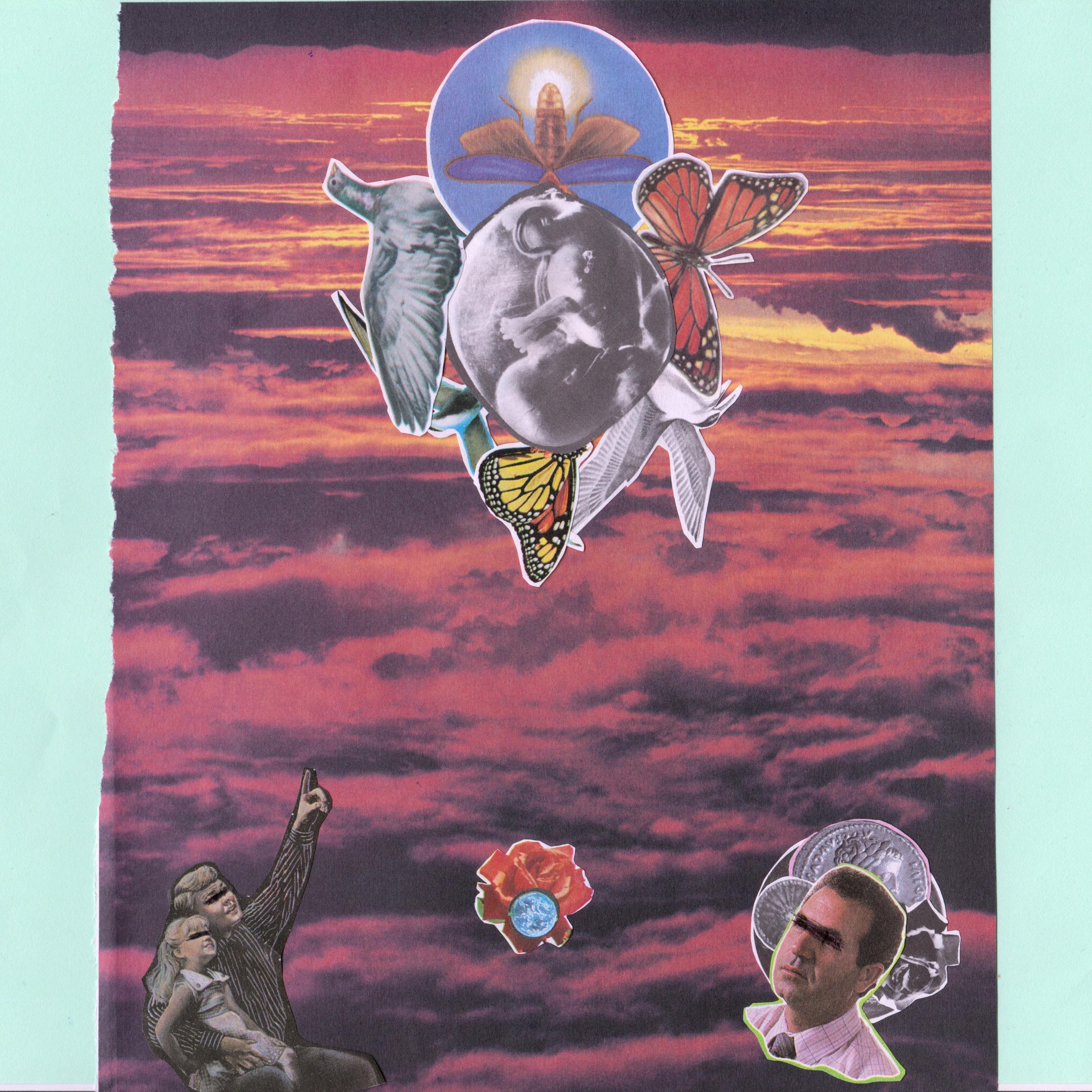 dawntreader